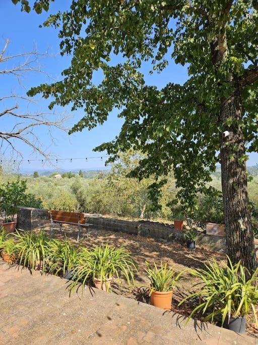 Casina Rossa Διαμέρισμα Tavarnuzze Εξωτερικό φωτογραφία